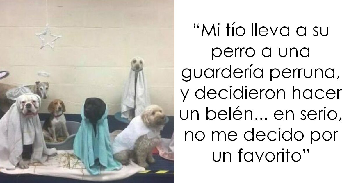 20 Divertidos memes sobre los británicos y su modo de ver la vida