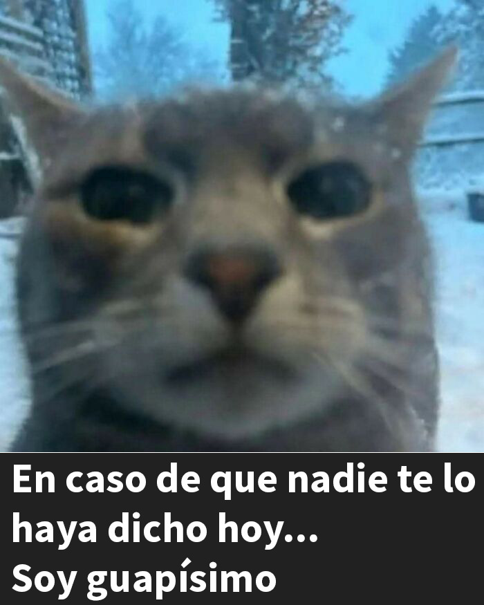 93 Edgy And Hilarious Memes That Might Make Your Day Way Better