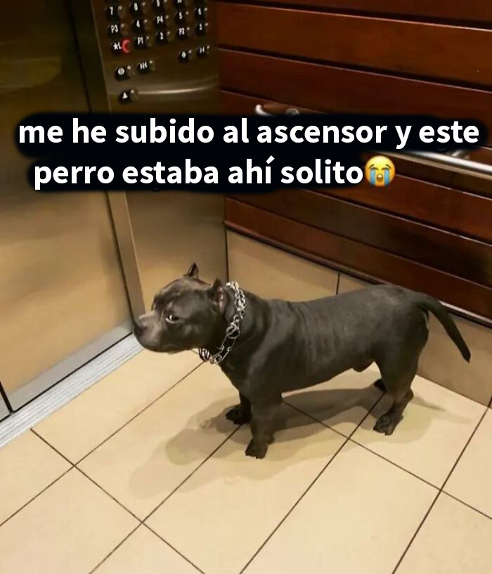 93 Edgy And Hilarious Memes That Might Make Your Day Way Better