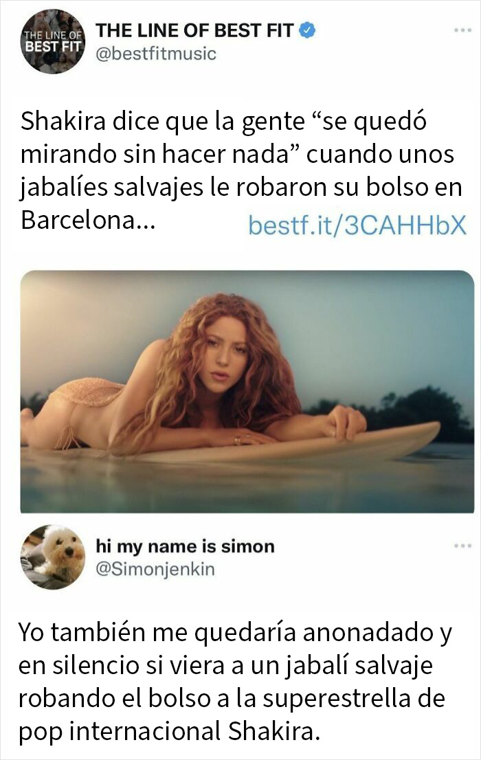 "Saw A Wild Boar Steal A Bag From International Pop Superstar Shakira"