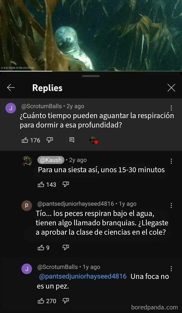 50 Times “Well, Actually” Went Horribly Wrong