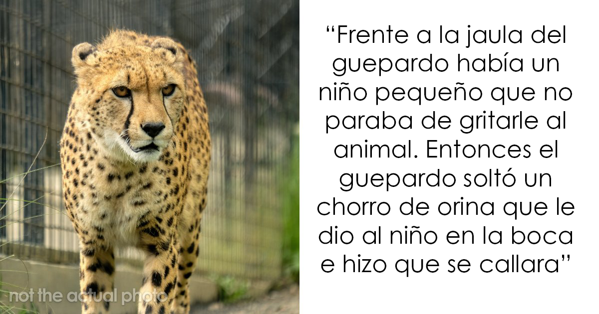 20 Historias sobre el karma golpeando sin piedad a quienes lo merecen