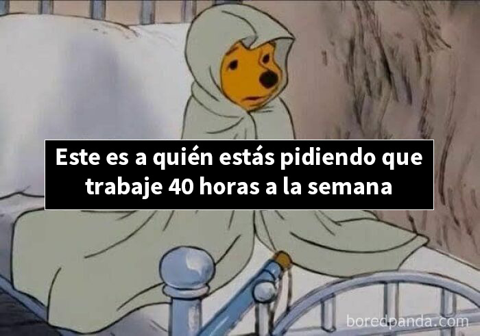 50 Memes That Range From Wild To "What Did I Just Read?"