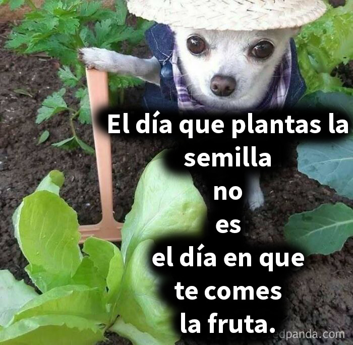 50 Memes That Range From Wild To "What Did I Just Read?"