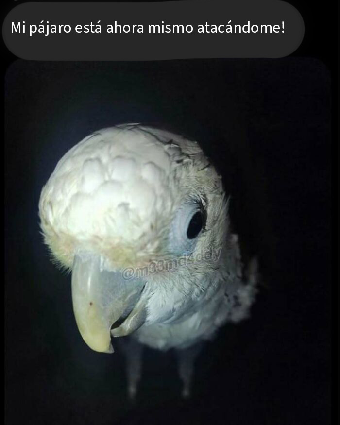 50 Memes That Range From Wild To "What Did I Just Read?"