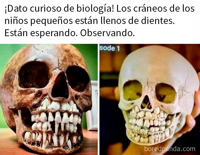 20 Divertidos memes de humor negro totalmente desatados
