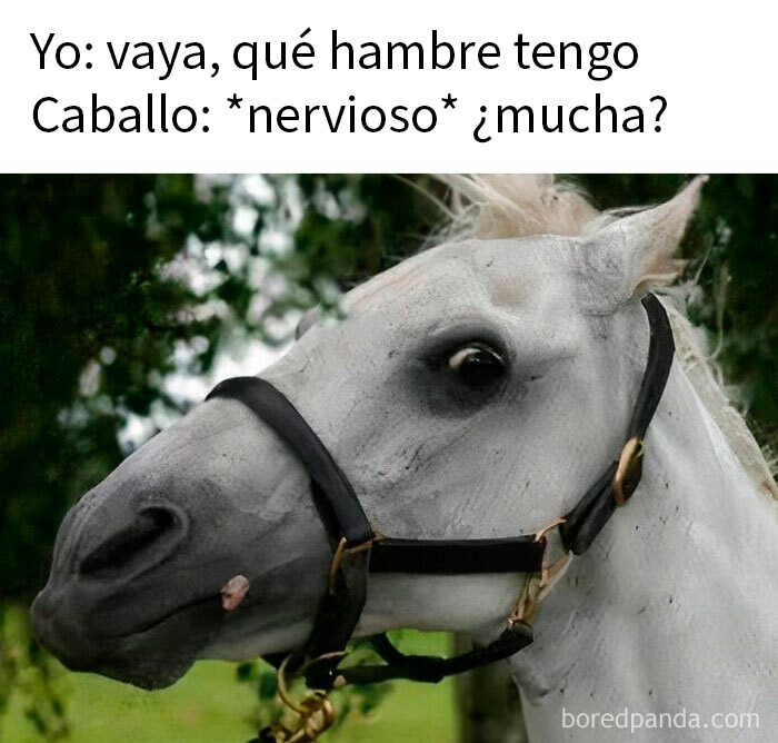 20 Memes divertidos por si necesitas reírte hoy