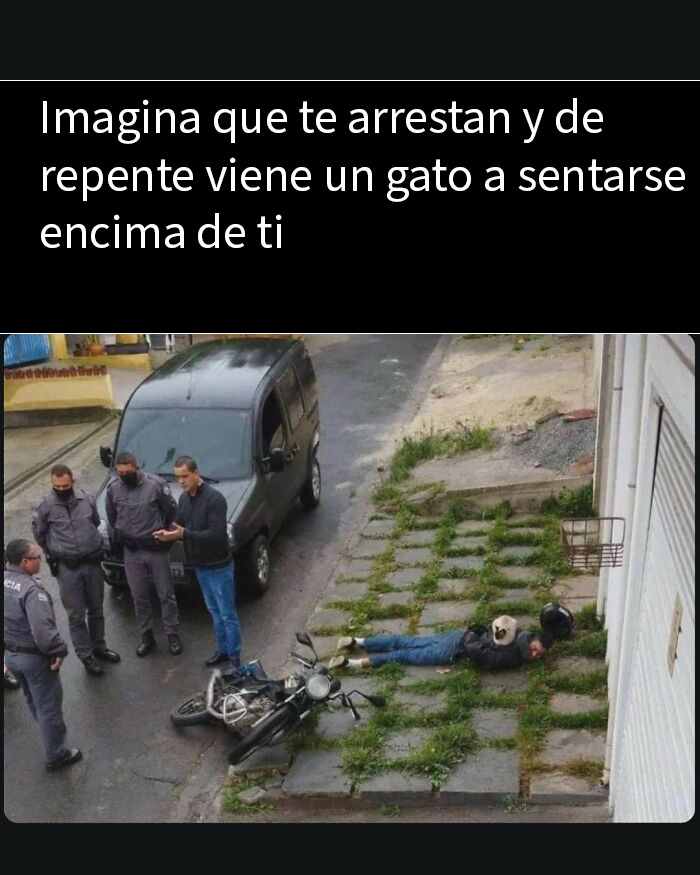 20 Memes divertidos por si necesitas reírte hoy