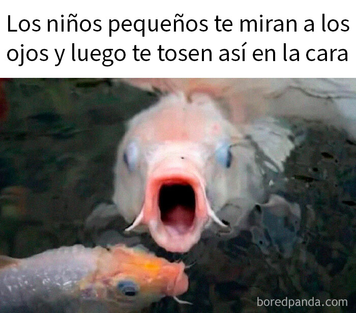 50 Random Memes That Make You Laugh Before You Understand Why