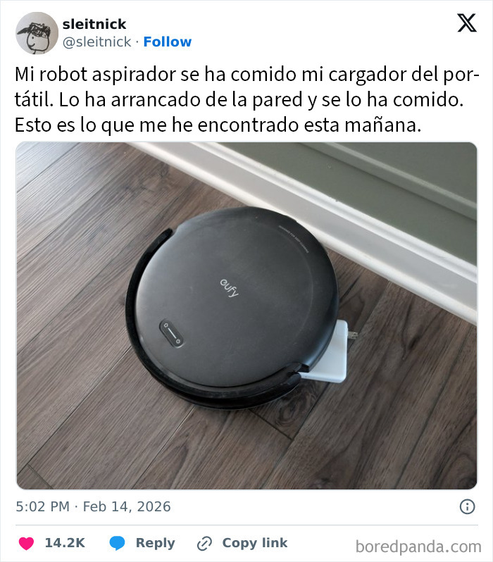 20 De los mejores tuits que van del caos a la comedia