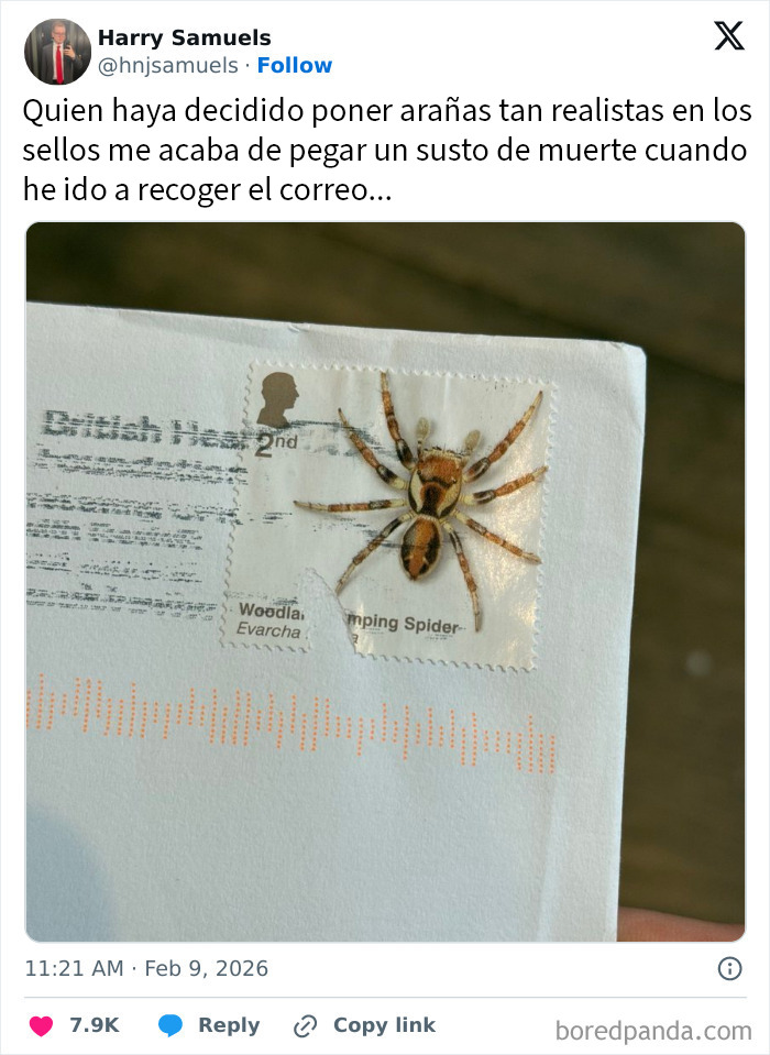 20 De los mejores tuits que van del caos a la comedia