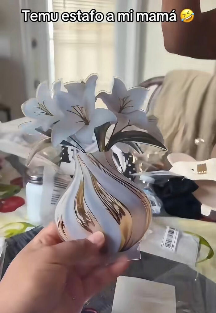 49 Times People Got Ridiculous Things From Temu And Couldn’t Be Mad Because They Did It To Themselves