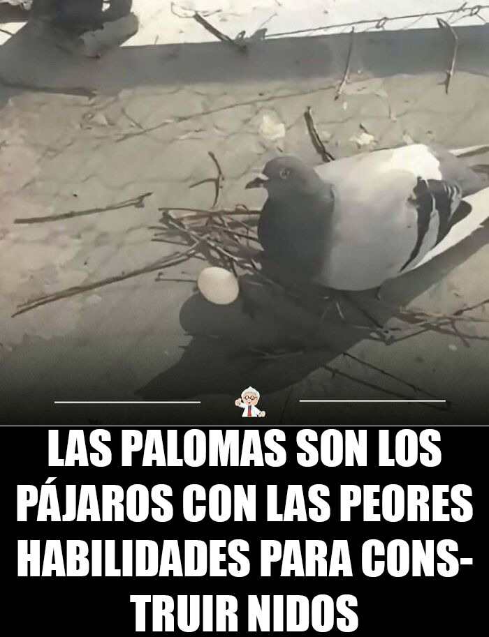 83 Cool Facts That Might Change How You See The World