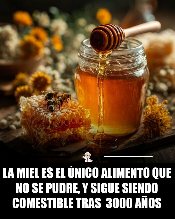 83 Cool Facts That Might Change How You See The World