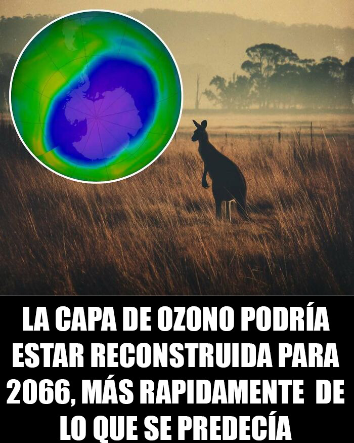 83 Cool Facts That Might Change How You See The World