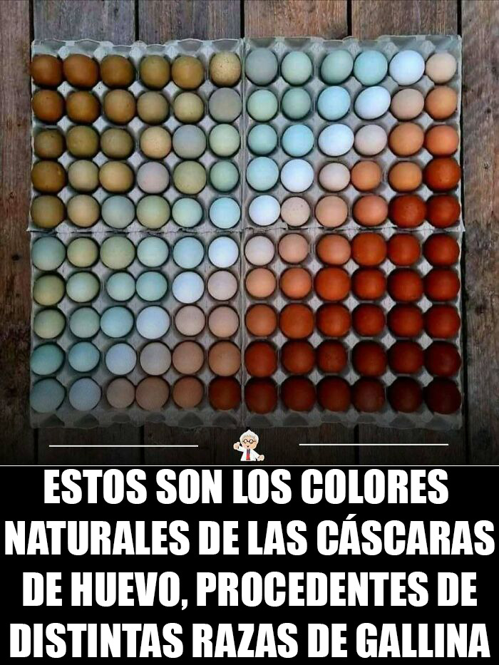 83 Cool Facts That Might Change How You See The World