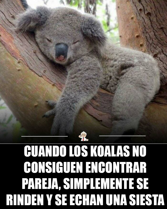 83 Cool Facts That Might Change How You See The World