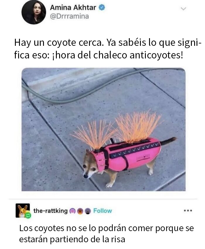 This Page Shared 50 Funny Memes For Your Daily Dose Of Cute Animal Content