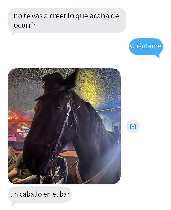 This Page Shared 50 Funny Memes For Your Daily Dose Of Cute Animal Content