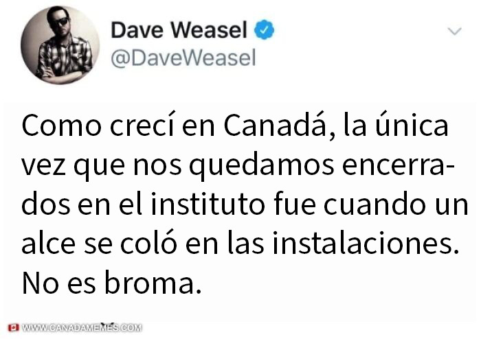 Canadians Are Cracking Up At These 55 Memes About Their Truly One-Of-A-Kind Country