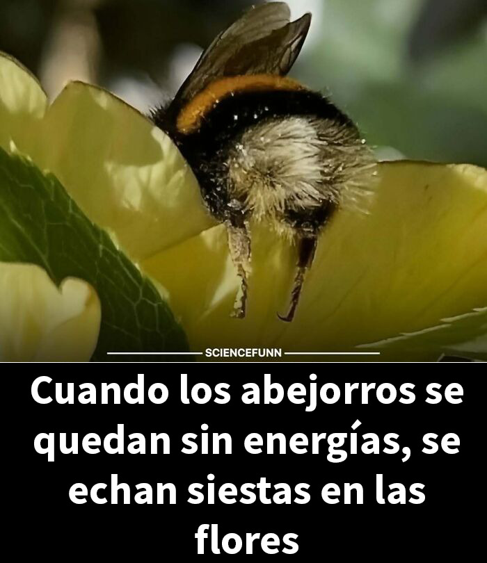 83 Hilarious Science Memes That React Faster Than Diet Coke And Mentos’ Reaction (New Pics)