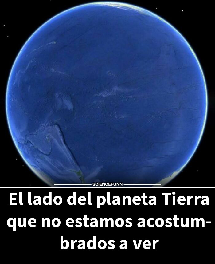 83 Hilarious Science Memes That React Faster Than Diet Coke And Mentos’ Reaction (New Pics)