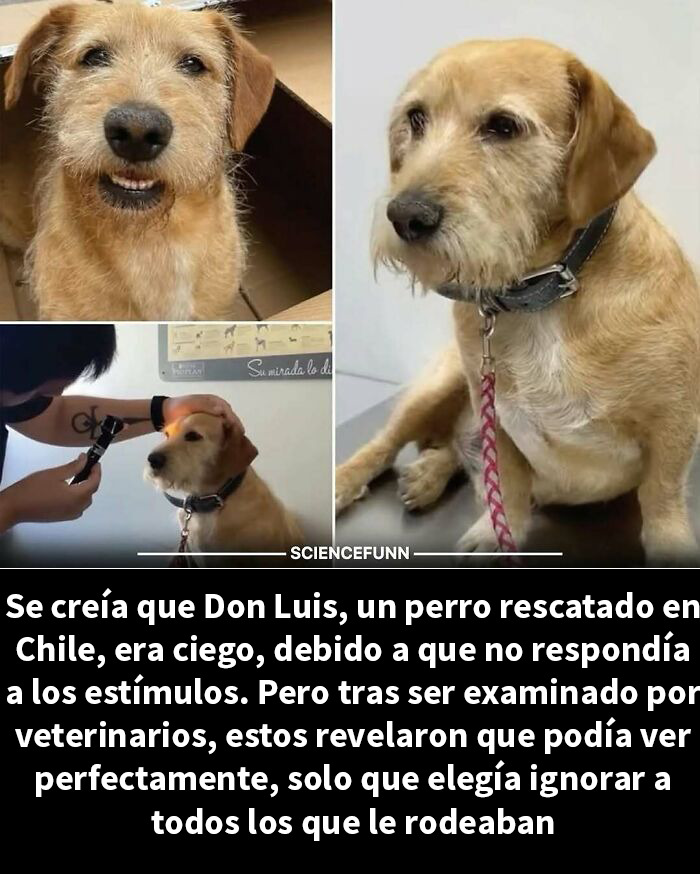 83 Hilarious Science Memes That React Faster Than Diet Coke And Mentos’ Reaction (New Pics)