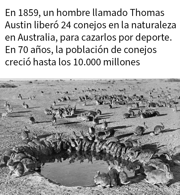 51 Fascinating Photos That Will Teach You About History In A Way School Can’t (New Pics)