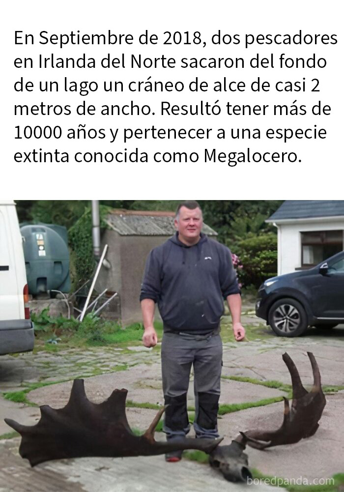 51 Fascinating Photos That Will Teach You About History In A Way School Can’t (New Pics)