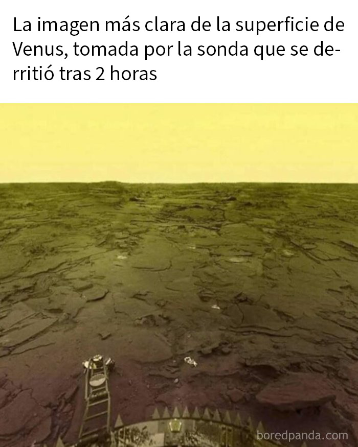 51 Fascinating Photos That Will Teach You About History In A Way School Can’t (New Pics)