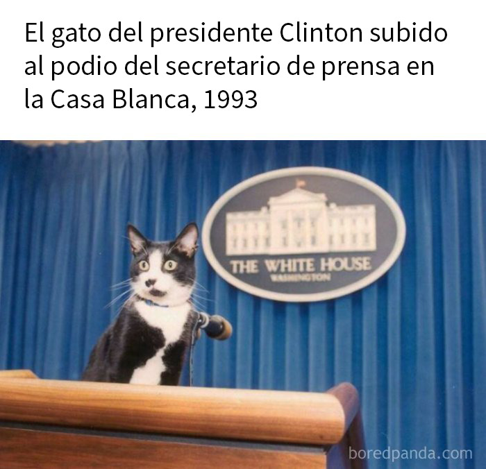 51 Fascinating Photos That Will Teach You About History In A Way School Can’t (New Pics)