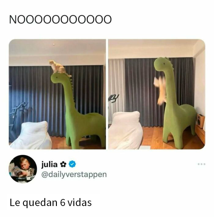 50 Funny Memes To Remind You How Awesome Cats Are