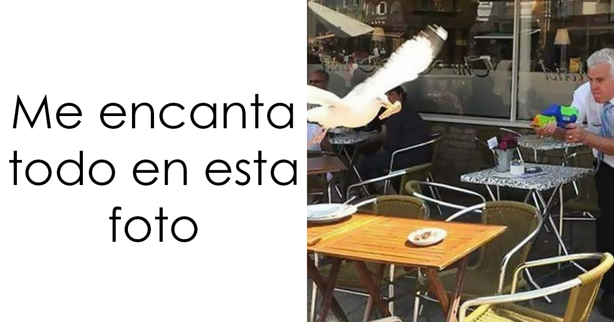 20 Memes divertidos y «muy limpios» para ayudarte a sonreír hoy