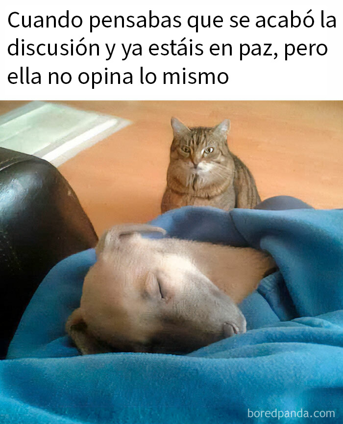 87 Memes So Hilarious And Simple They Might Make Your Day Way Better