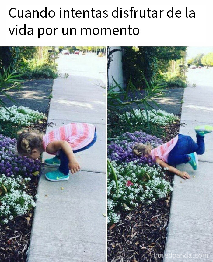 87 Memes So Hilarious And Simple They Might Make Your Day Way Better