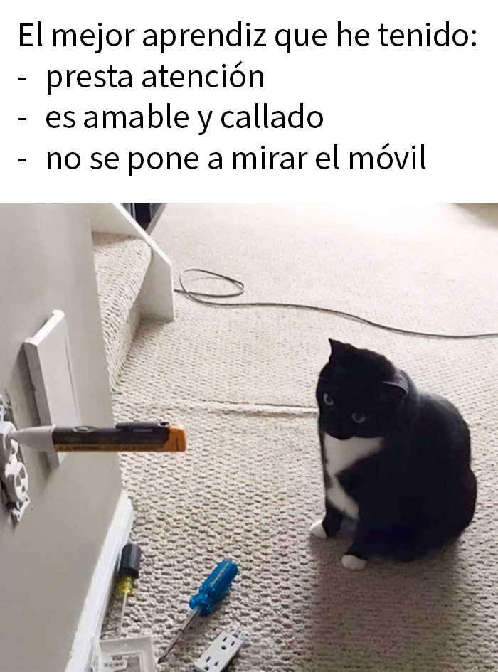 87 Memes So Hilarious And Simple They Might Make Your Day Way Better