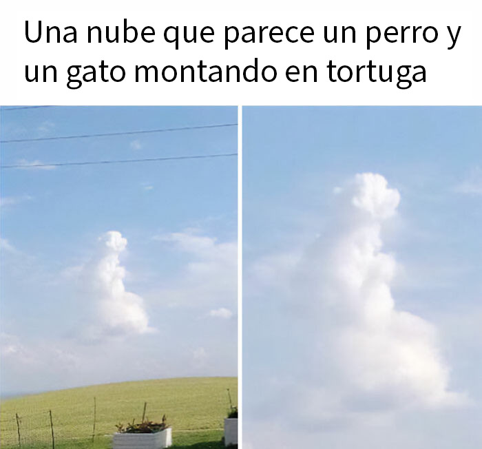 87 Memes So Hilarious And Simple They Might Make Your Day Way Better