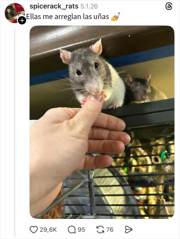 Woman Wonders Why Others Don’t Get Their Nails Done, Gets 86 Hilariously Honest Replies