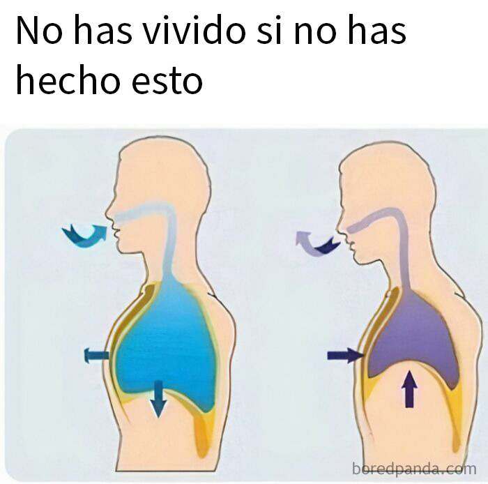 If You Haven’t Laughed For A While, These 37 Memes Might Crack You Up