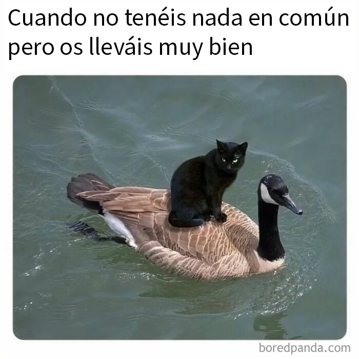 If You Haven’t Laughed For A While, These 37 Memes Might Crack You Up