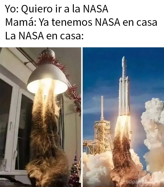 If You Haven’t Laughed For A While, These 37 Memes Might Crack You Up