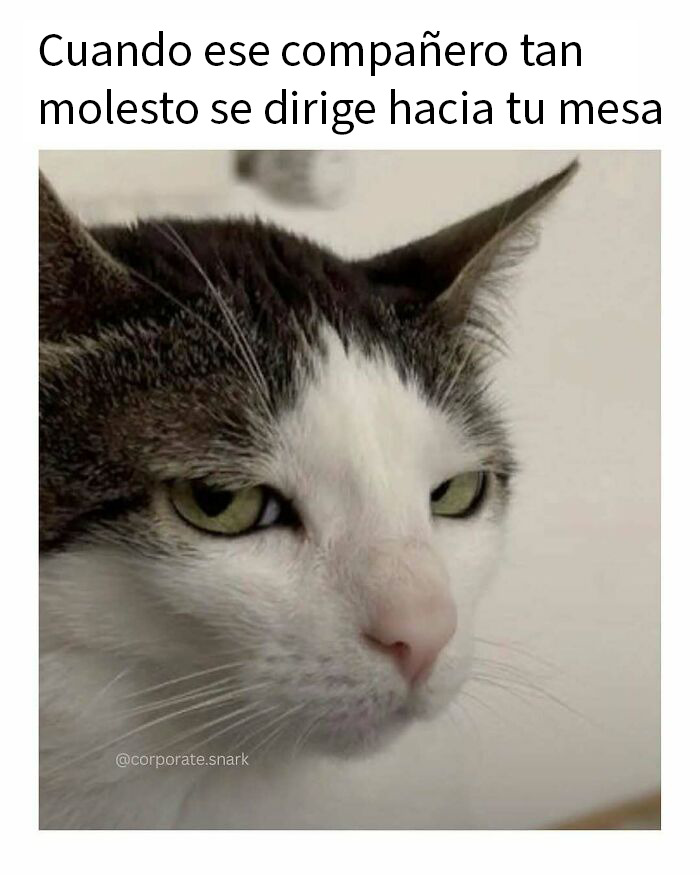 “On My Way To Work To Do Just Enough To Not Get Fired”: 53 Funny Work Memes