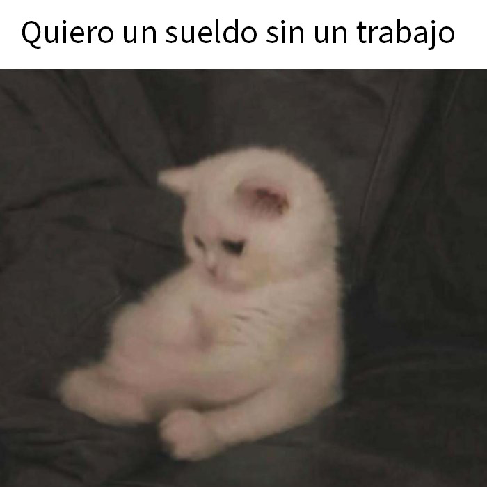 “On My Way To Work To Do Just Enough To Not Get Fired”: 53 Funny Work Memes