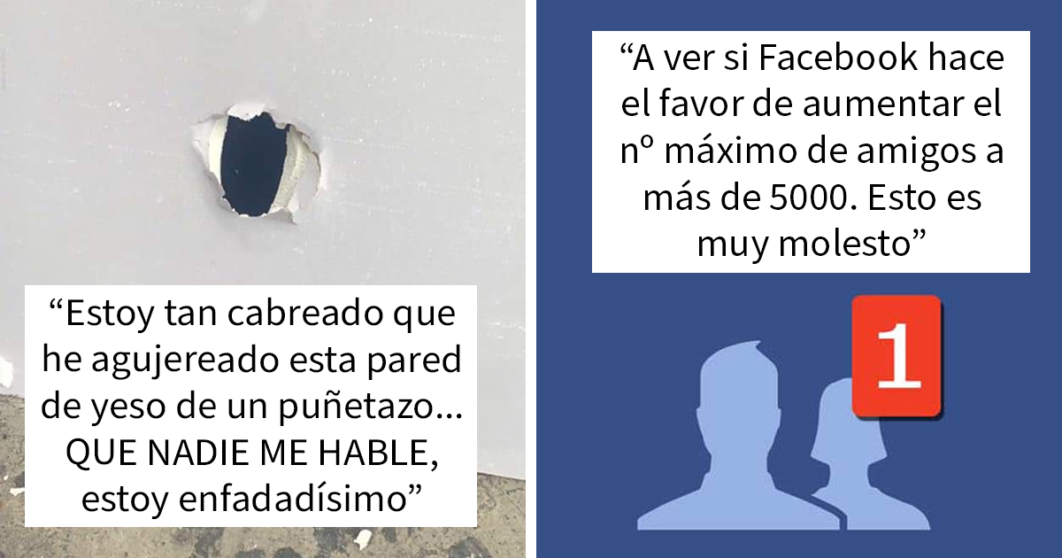 20 Personas que sintieron la necesidad de «presumir humildemente» en internet y fueron avergonzados por ello
