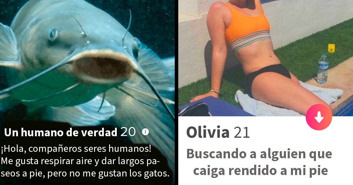 20 Divertidos perfiles de Tinder que tendrás que leer 2 veces