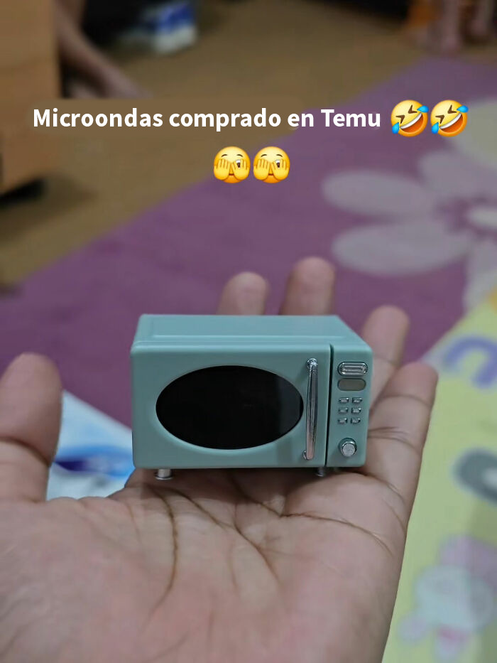 49 Times People Got Ridiculous Things From Temu And Couldn’t Be Mad Because They Did It To Themselves