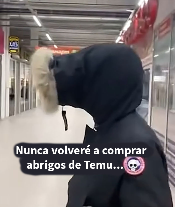 49 Times People Got Ridiculous Things From Temu And Couldn’t Be Mad Because They Did It To Themselves