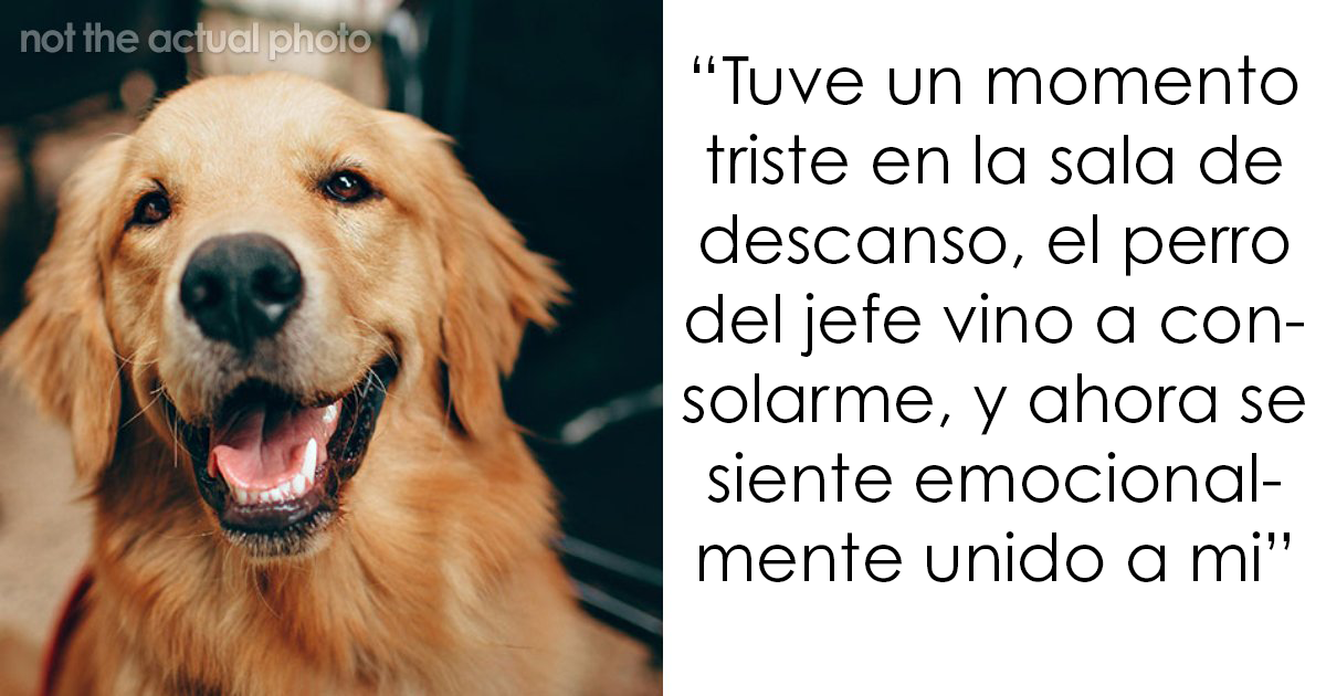 20 Divertidas historias de la gente metiendo la pata hasta el fondo