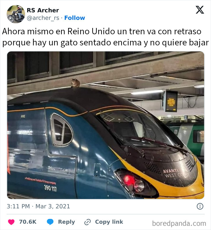 61 Hilarious Memes That Demonstrate The Superiority Of British Humor