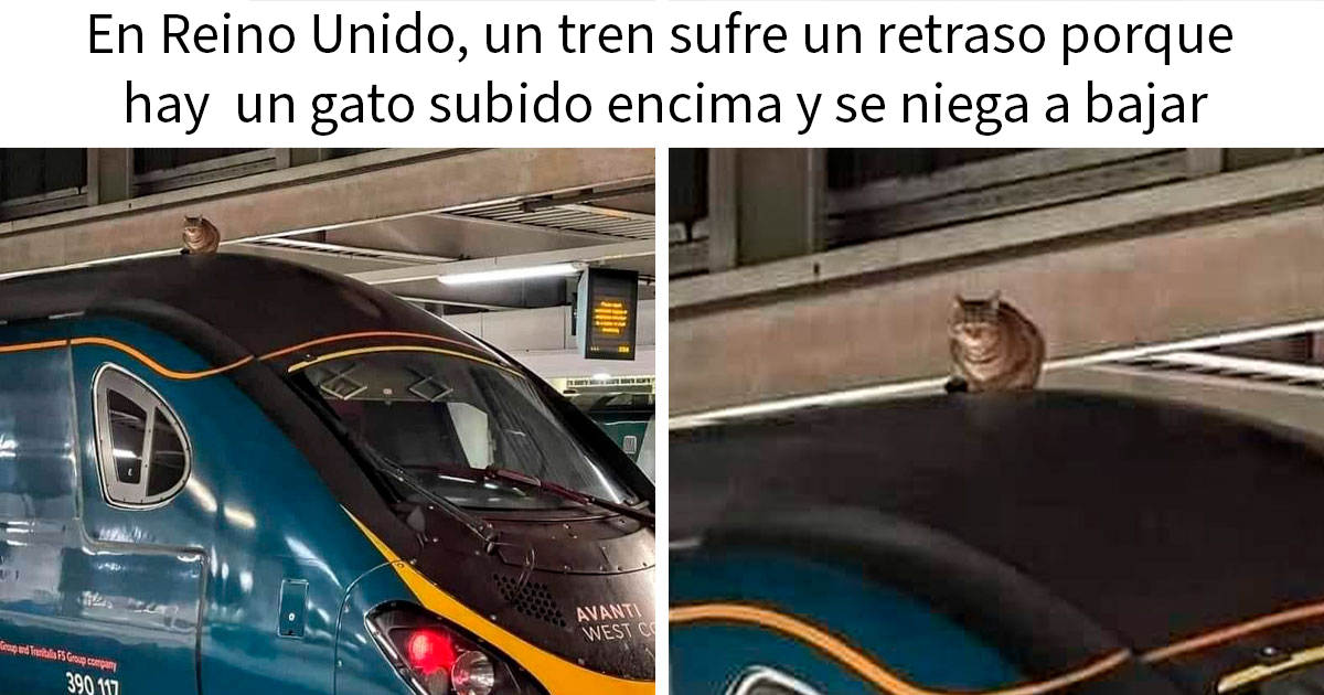 20 Divertidos memes que demuestran la superioridad del humor británico